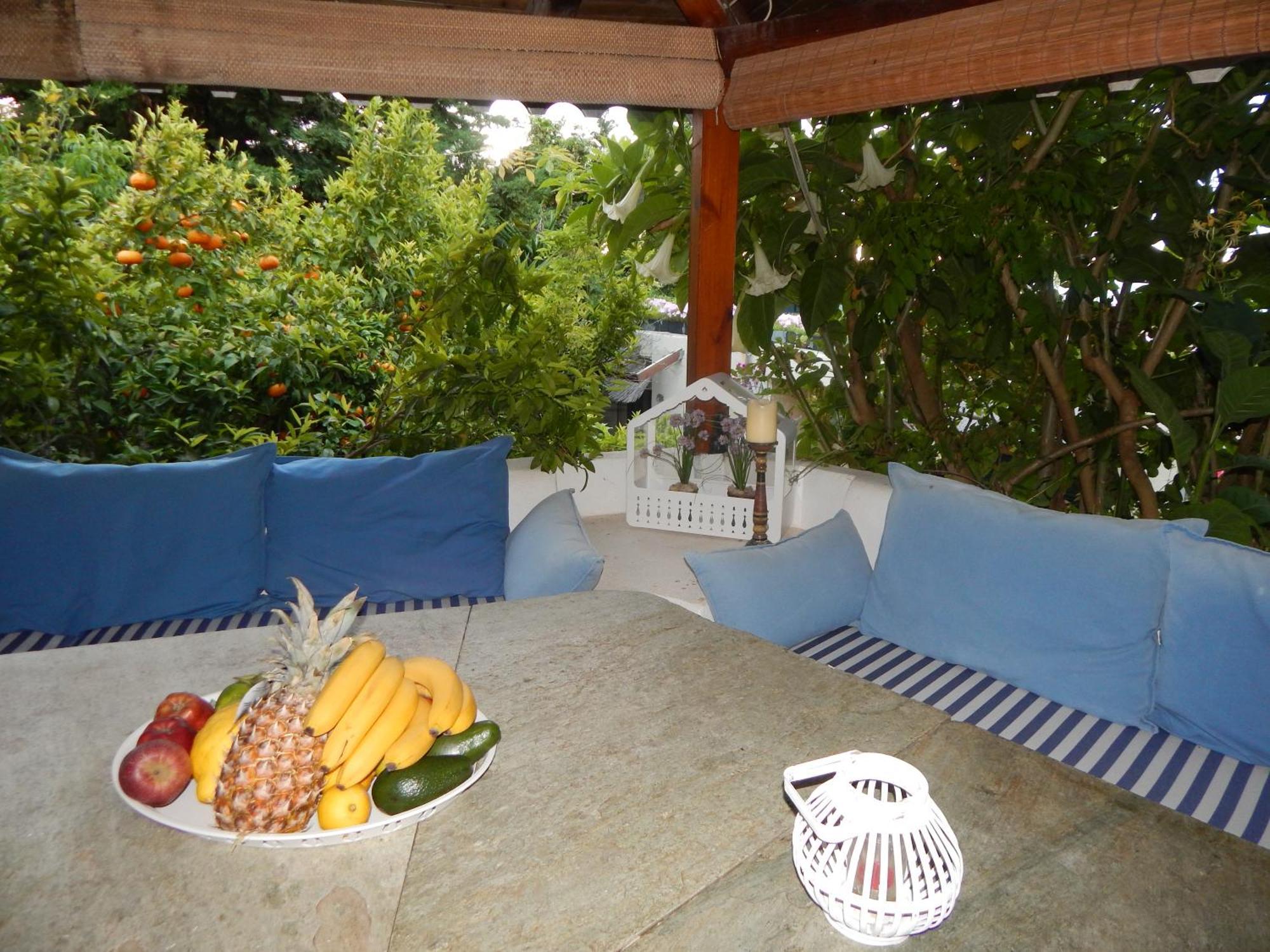 Palmina Mare Villa And Studios 帕拉利亚维拉乔 外观 照片