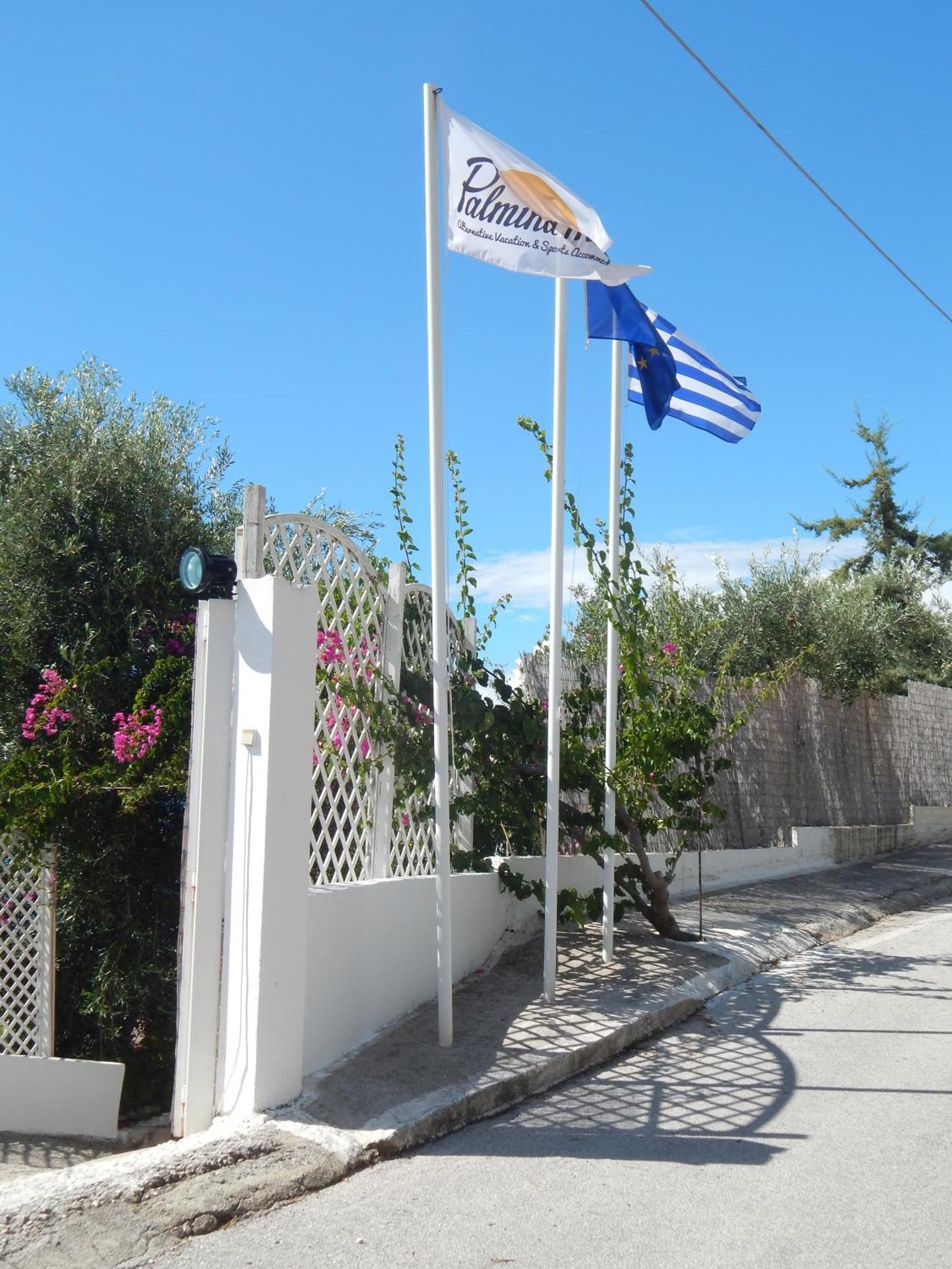 Palmina Mare Villa And Studios 帕拉利亚维拉乔 外观 照片