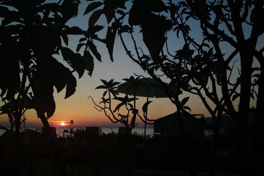 Palmina Mare Villa And Studios 帕拉利亚维拉乔 外观 照片