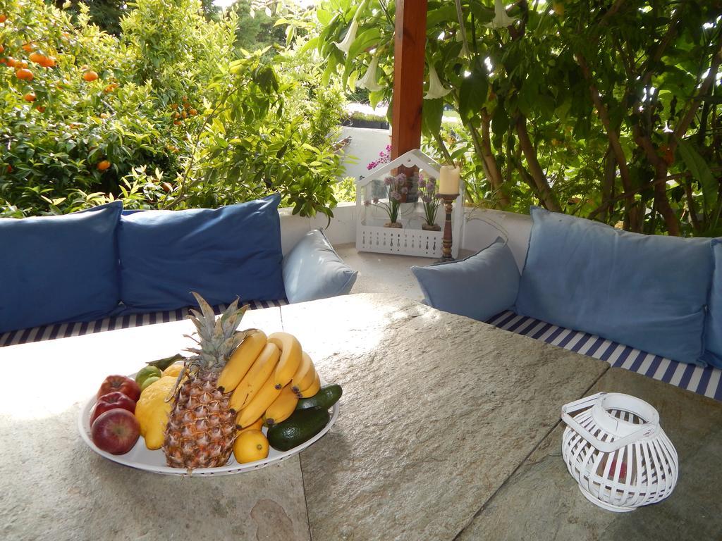 Palmina Mare Villa And Studios 帕拉利亚维拉乔 外观 照片