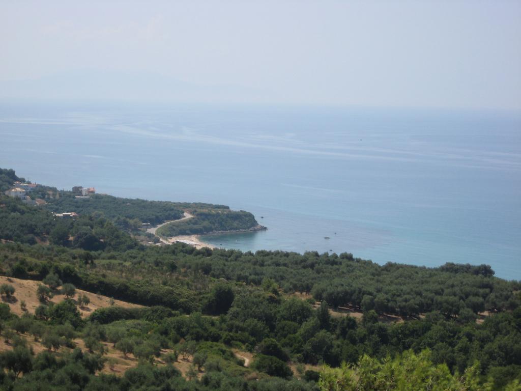 Palmina Mare Villa And Studios 帕拉利亚维拉乔 外观 照片