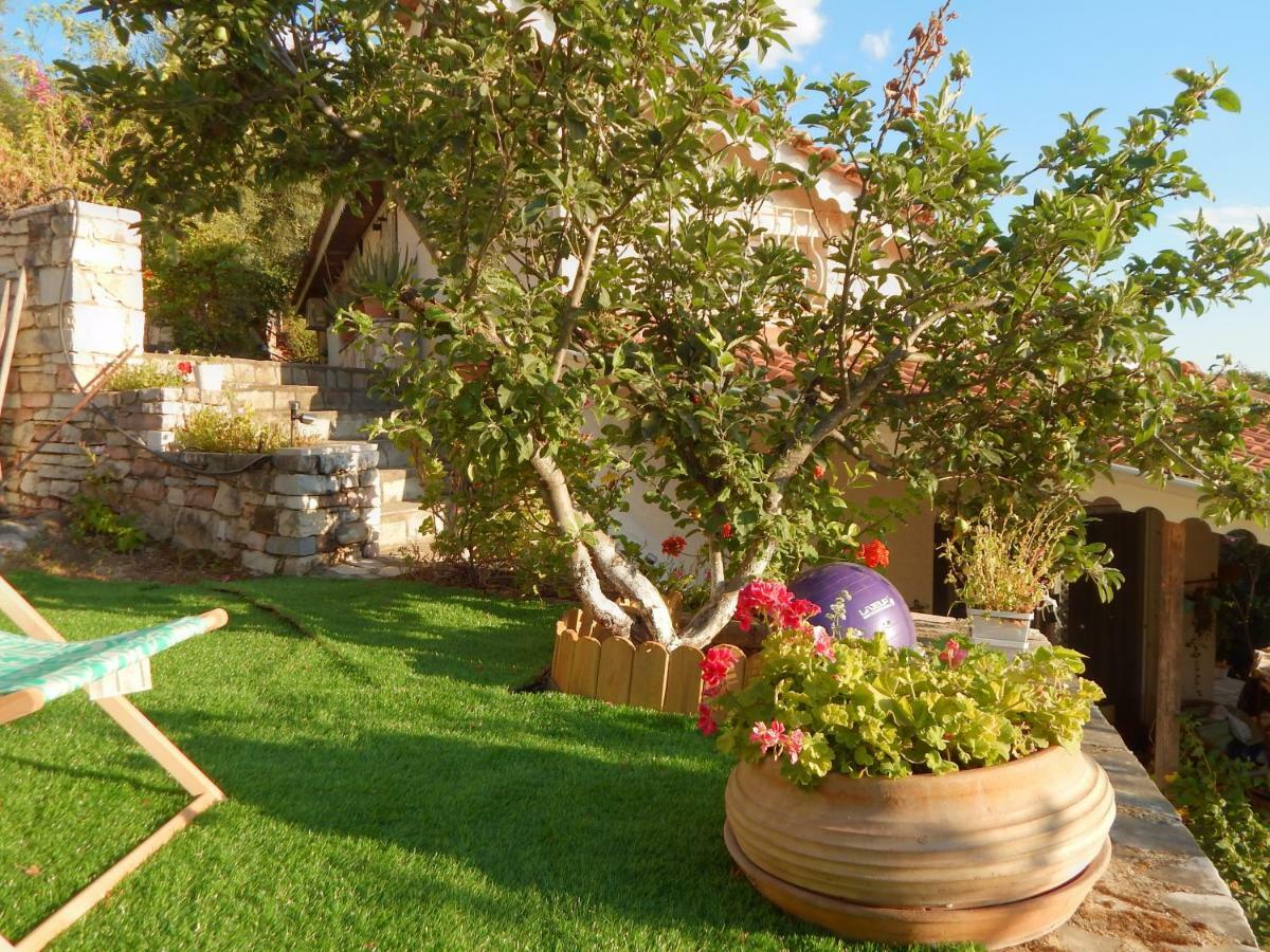 Palmina Mare Villa And Studios 帕拉利亚维拉乔 外观 照片