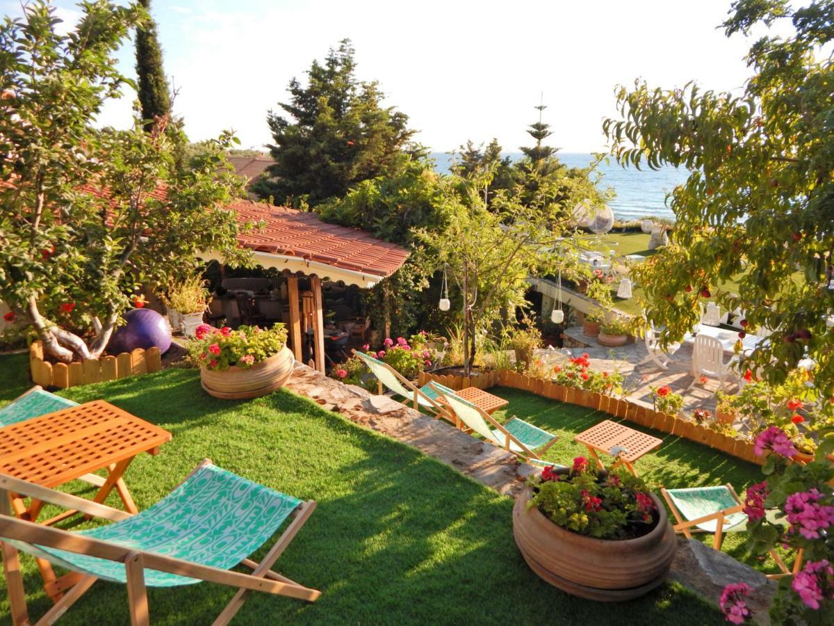 Palmina Mare Villa And Studios 帕拉利亚维拉乔 外观 照片